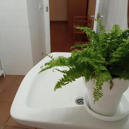 Musas Gastro Casa Rural *